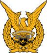 Indonesia Air Force