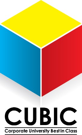 Image result for Cubic